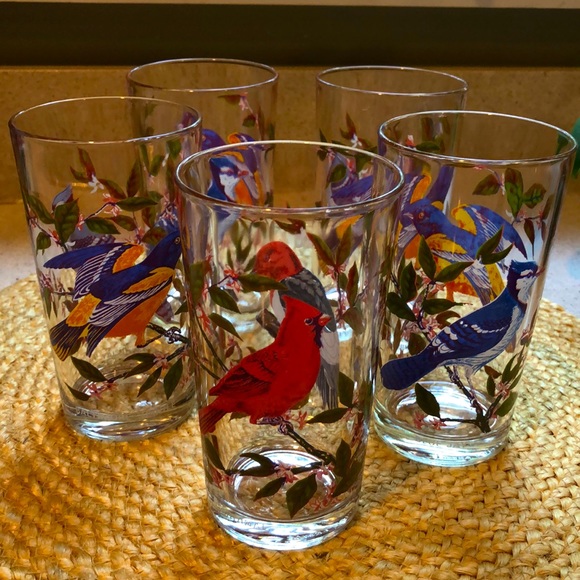 Arcoroc France Other - Set of (5) Vintage Wild Bird Glasses/Tumblers Arcoroc France